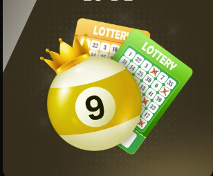 时隔12年重返世界杯，波黑球迷开车上街疯狂庆祝